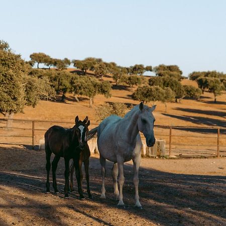 Herdade Da Caniceira Ervedal Экстерьер фото