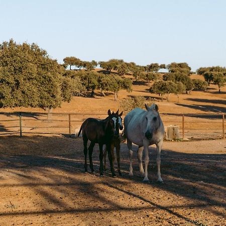 Herdade Da Caniceira Ervedal Экстерьер фото