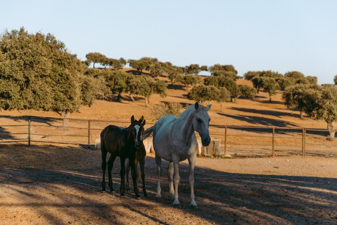 Herdade Da Caniceira Ervedal Экстерьер фото