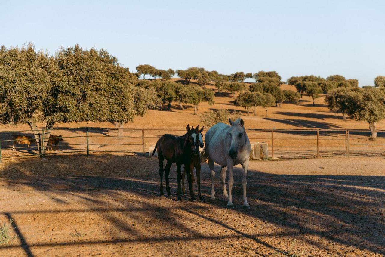Herdade Da Caniceira Ervedal Экстерьер фото